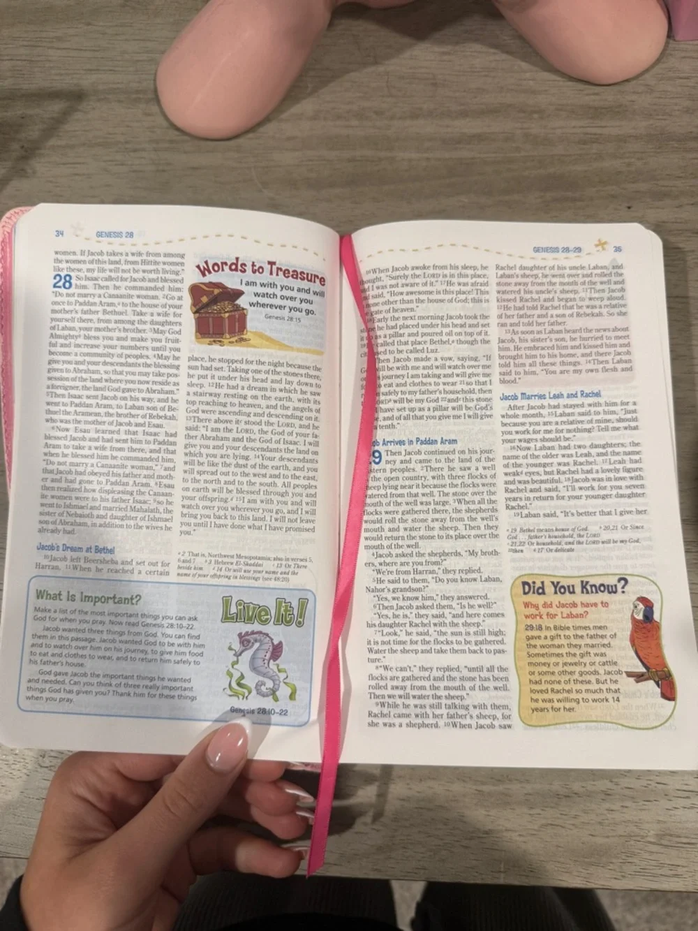 Pink Floral Kids Adventure Bible - Brand Unspecified
